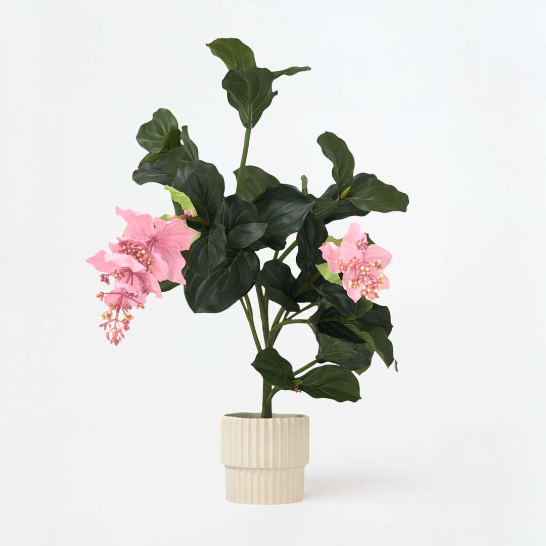 Kunstplant Medinilla magnifica