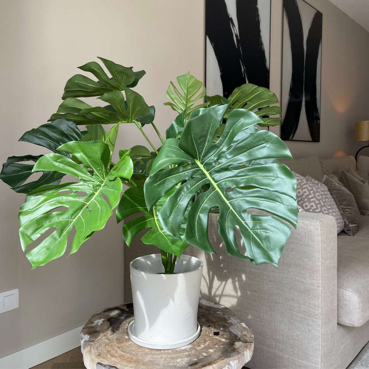 Kunstplant monstera