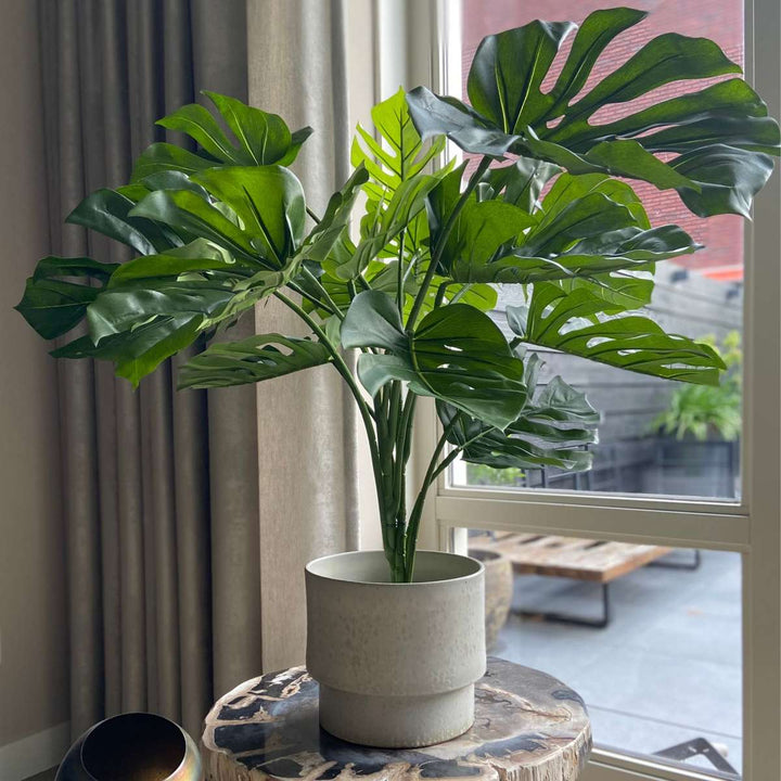 Kunstplant monstera