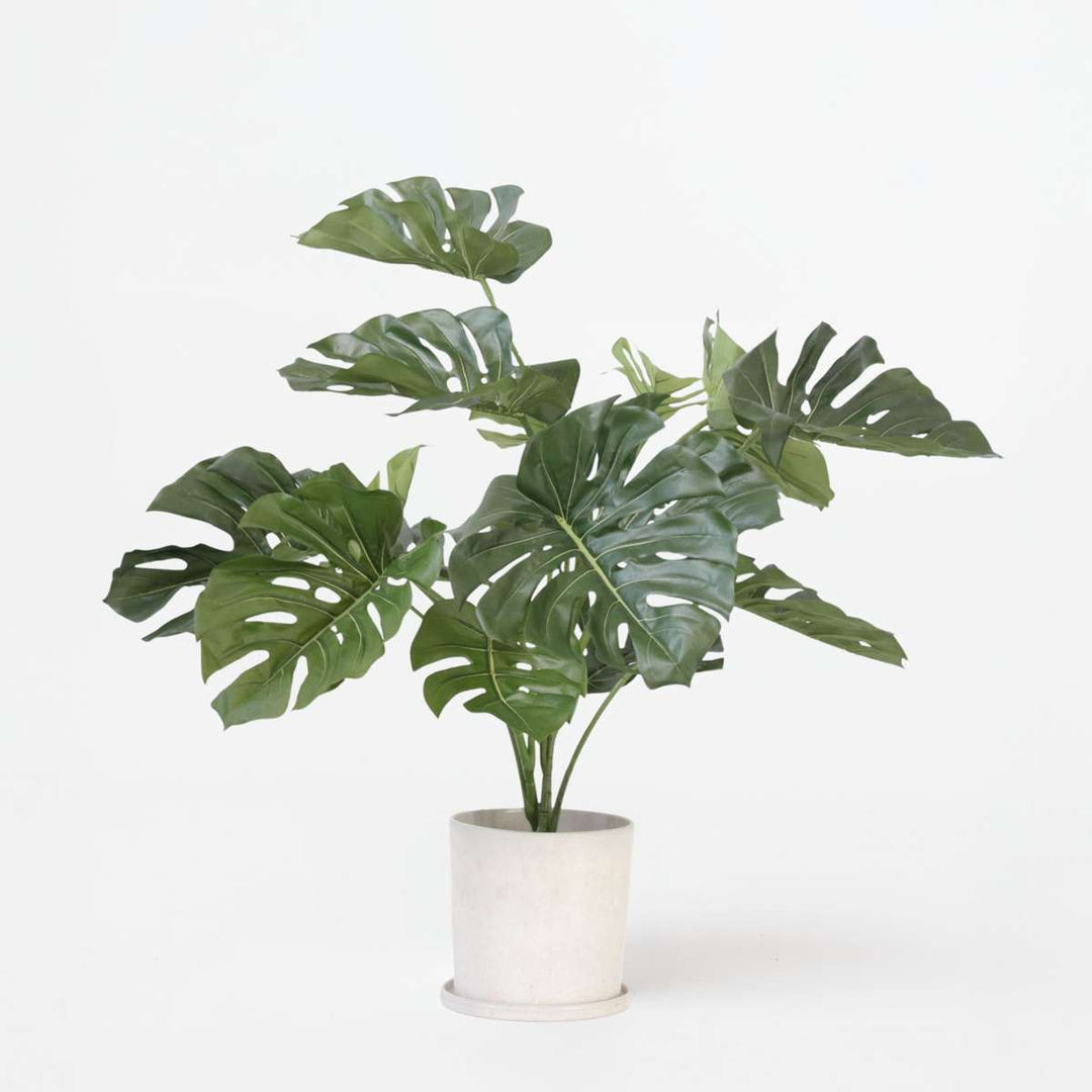 Kunstplant monstera