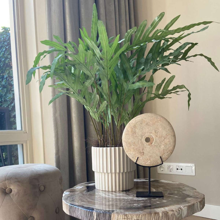 Kunstplant phlebodium