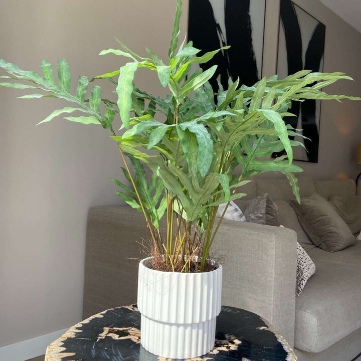 Kunstplant phlebodium