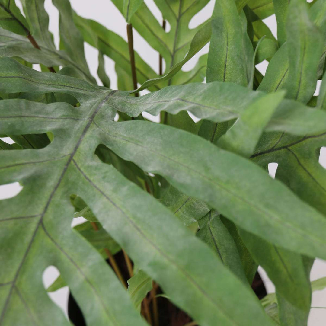 Kunstplant phlebodium