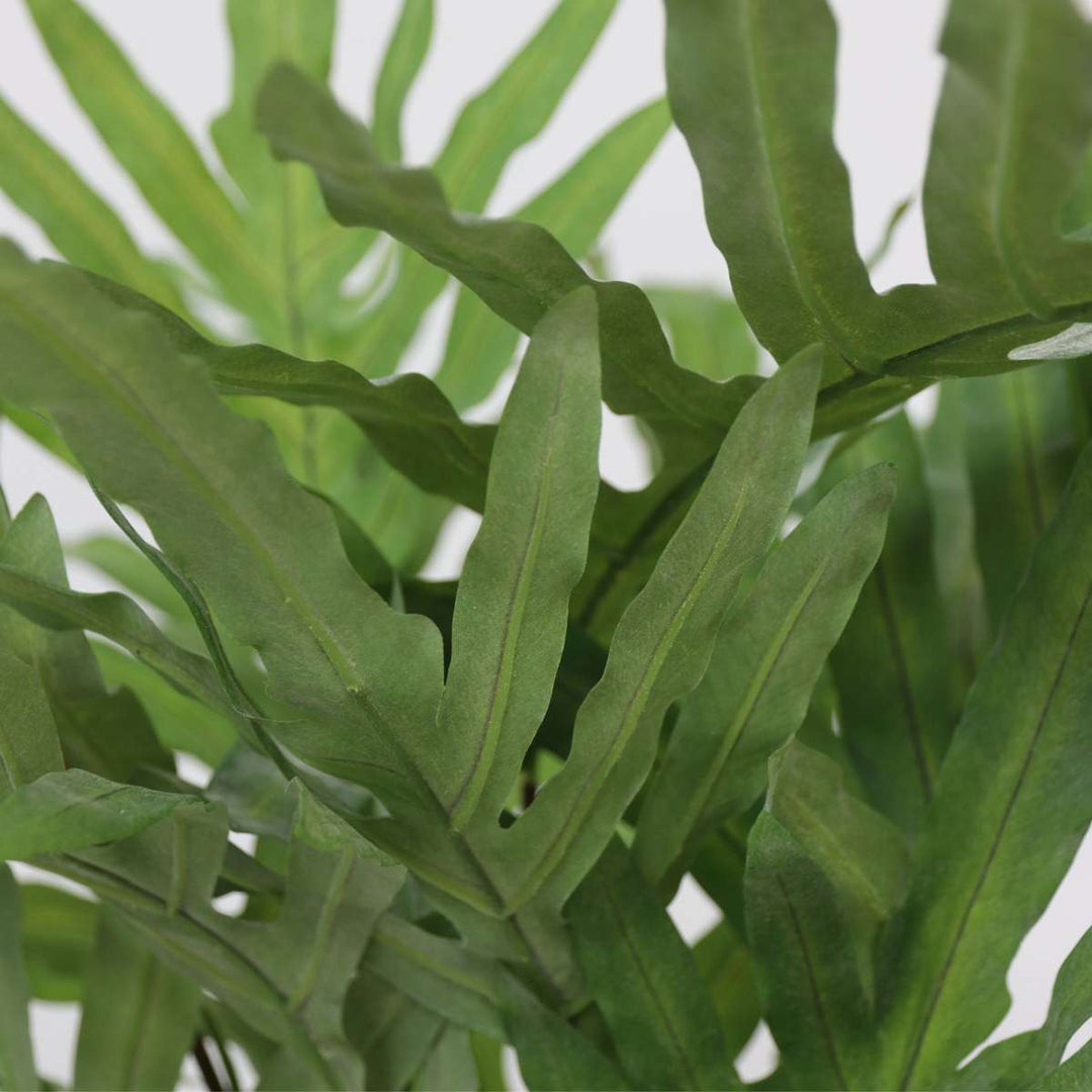 Kunstplant phlebodium