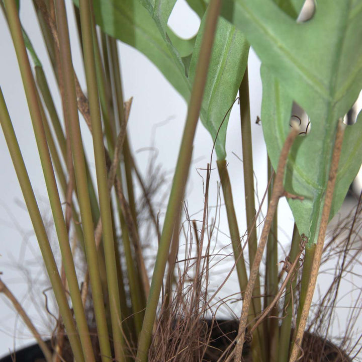 Kunstplant phlebodium