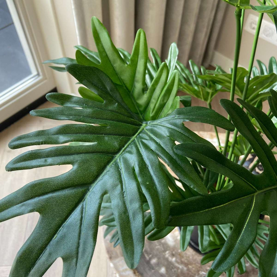 Umelá rastlina filodendron 'Selloum'