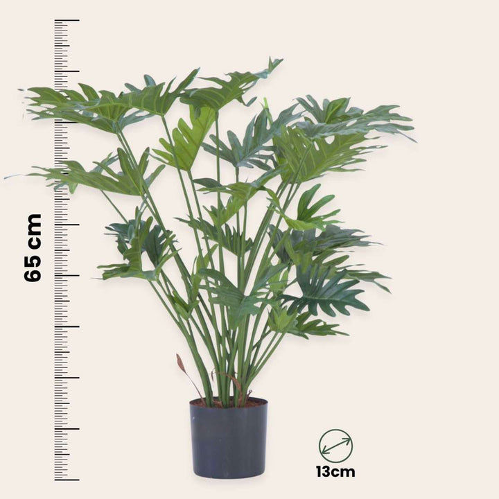 Umelá rastlina filodendron 'Selloum'