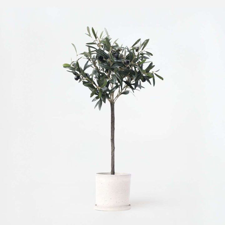 Kunstplant olijfboompje