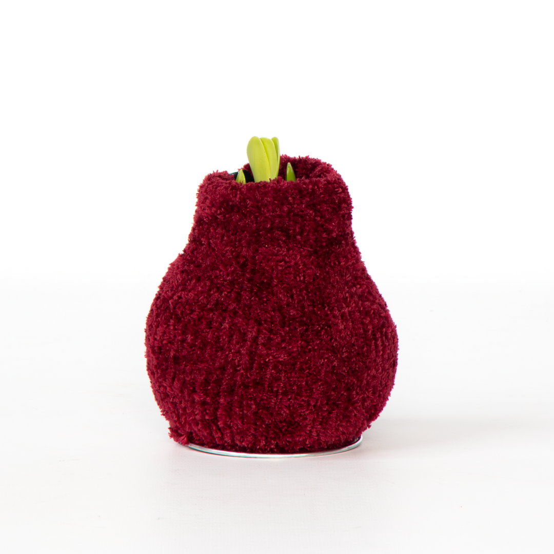 Hippeastrum 'Cozy Teddy Red' - Amaryllis