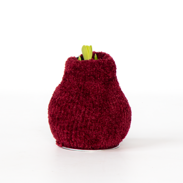 Hippeastrum 'Cozy Teddy Red' - Amaryllis