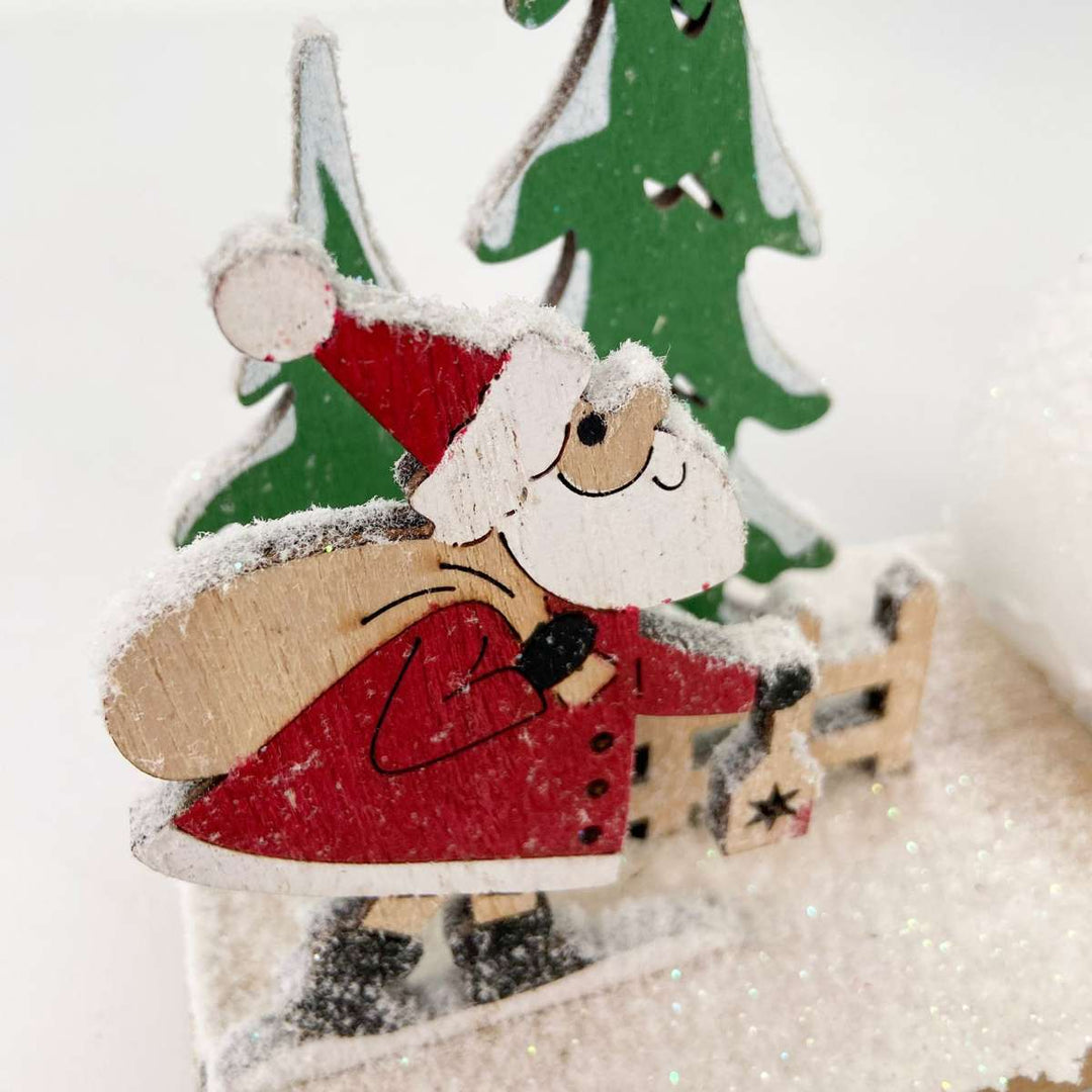 Hippeastrum 'Winter Wonderland Santa' - Amaryllis