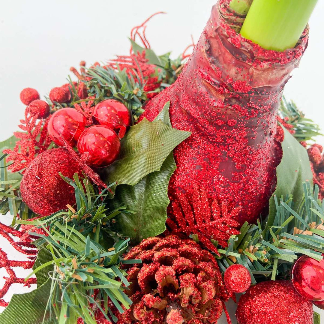 Hippeastrum 'Kerstkrans' - Amaryllis  - Mix van 3