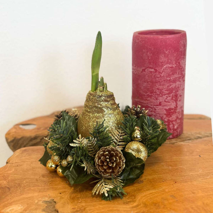 Hippeastrum 'Kerstkrans' - Amaryllis  - Mix van 3