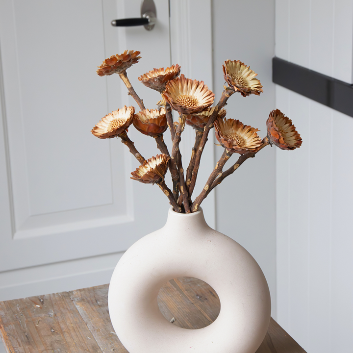 Boeket 'Protea Compacta' - 10 stuks - Droogbloemen