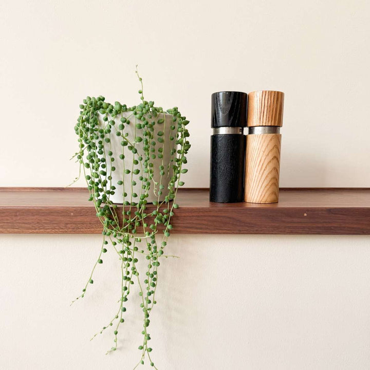 Senecio Rowleyanus 'Erwtenplant'