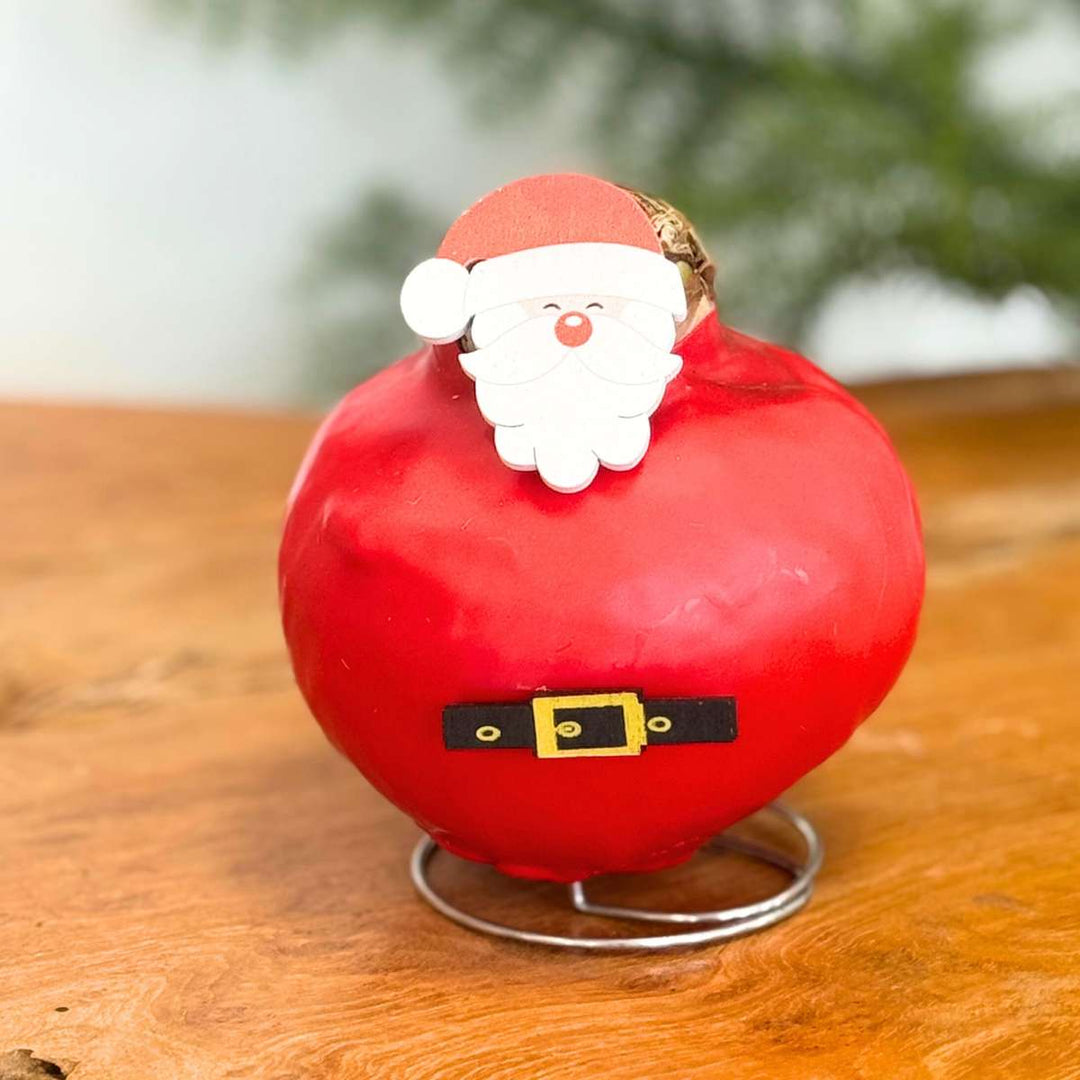 Hippeastrum 'Wax special Santa Mix' - Amaryllis - Set van 2