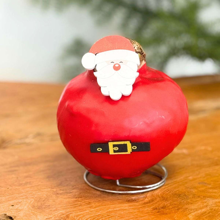 Hippeastrum 'Wax special Santa Mix' - Amaryllis - Set van 2