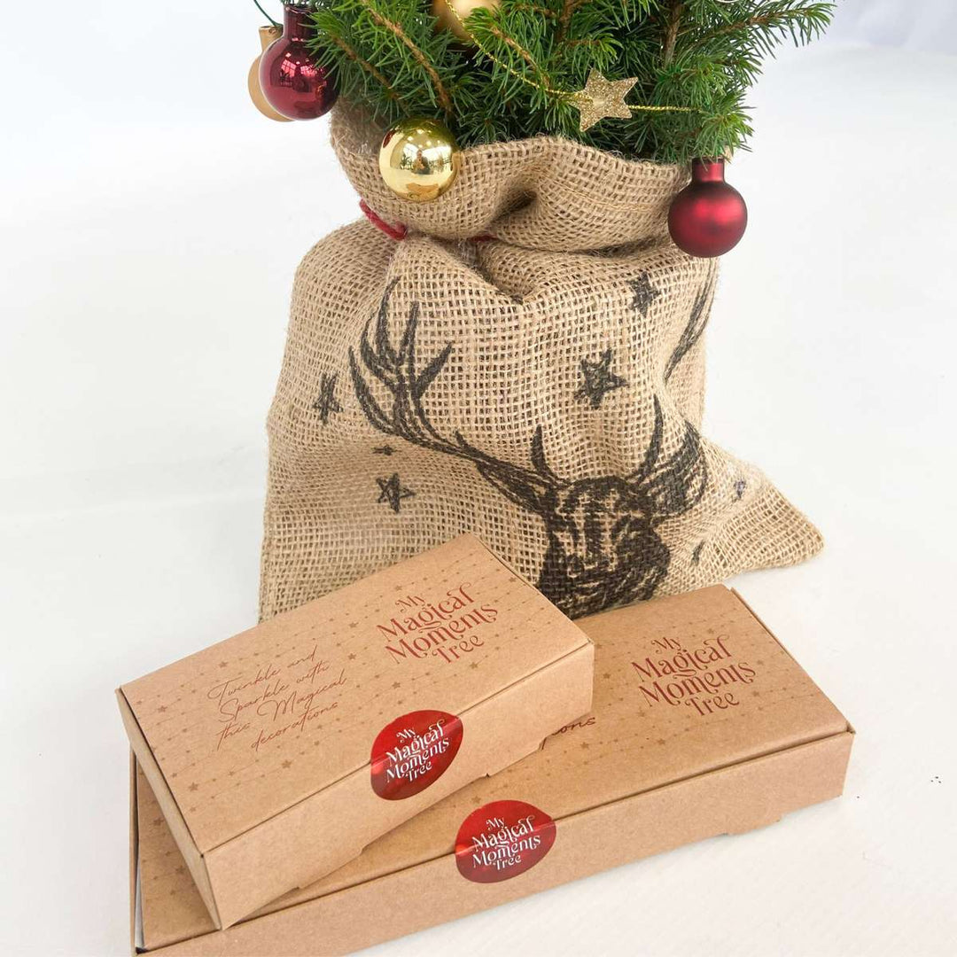 Mini kerstboom met jute zak - Picea glauca ‘Conica’