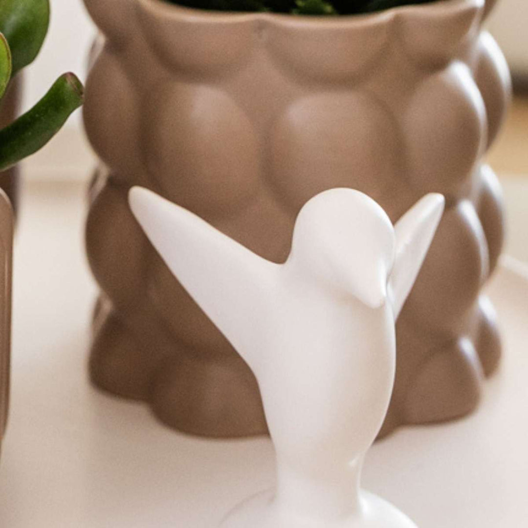 Cadeauset orchidee 'White Tray XL'