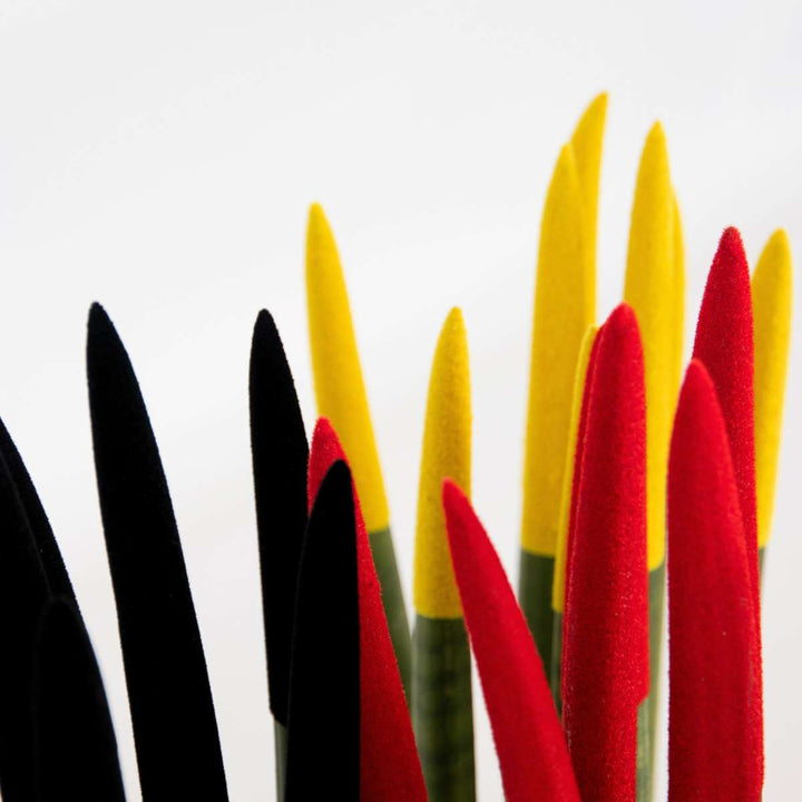 Sansevieria Cylindrica - Baršunasti dodir - Mješavina od 3 - FloraStore