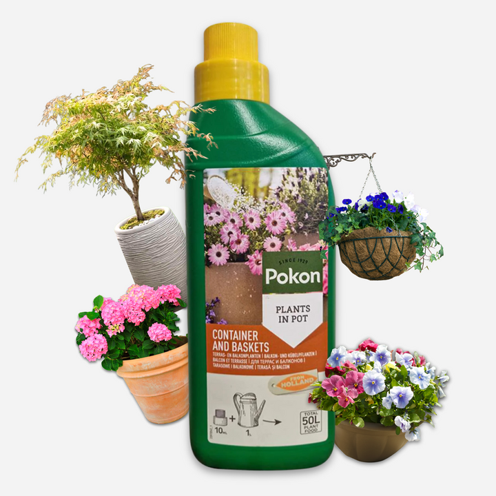 Pokon plantenvoeding terras & balkon 500ml