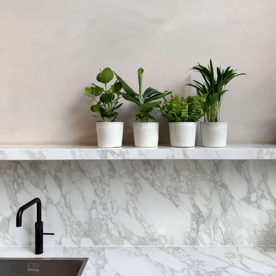 Groen Kwartet - Mix van 4