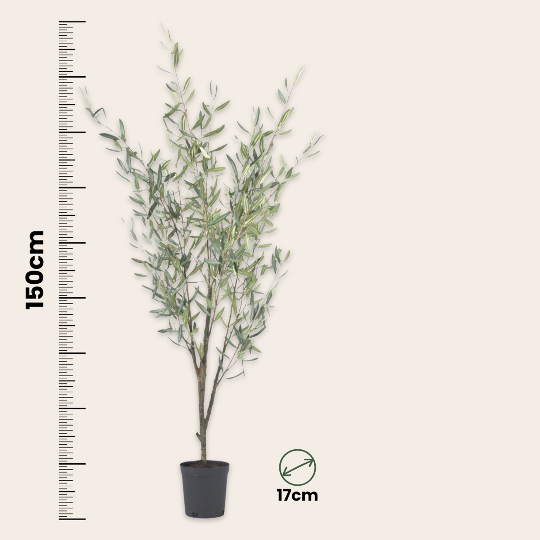 Kunstplant olijfboom